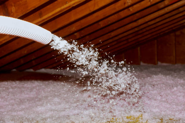 Best Home Insulation Services  in Nacogdoches, TX