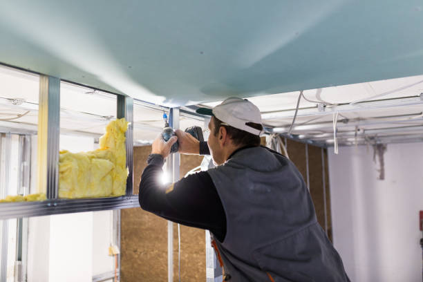 Best Insulation Replacement Services  in Nacogdoches, TX