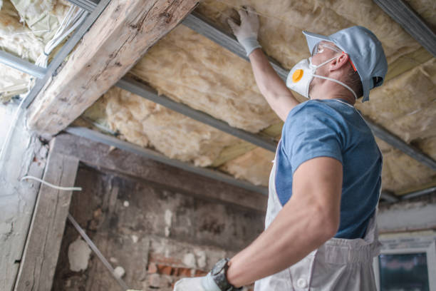 Professional Insulation Contractor in Nacogdoches, TX